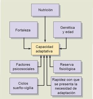 Factores que afectan la adaptación